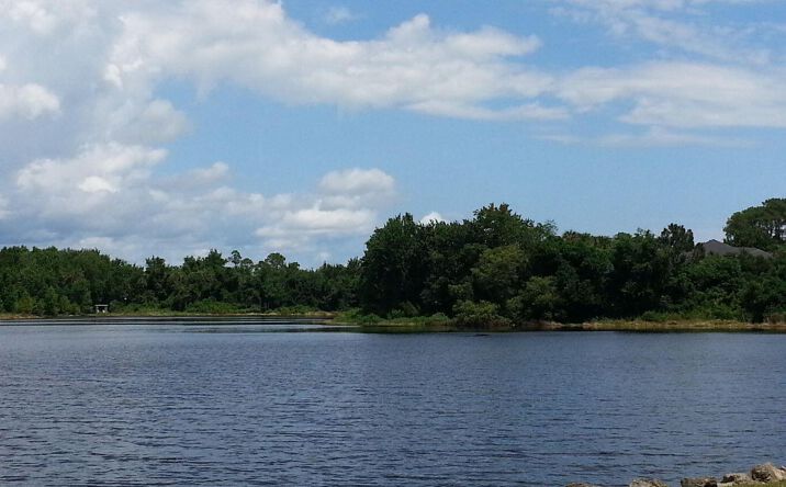 Pictures of Land property located at 3906 Rambling Acres Drive, Titusville, FL 32796 for sales - image #1
