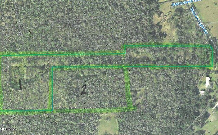 Pictures of Land property located at 0 Beacon Light Road, Edgewater, FL 32141 for sales - image #1