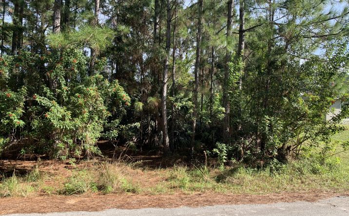 image of property at 2653 RAVEN AVENUE SE Palm Bay FL 32909