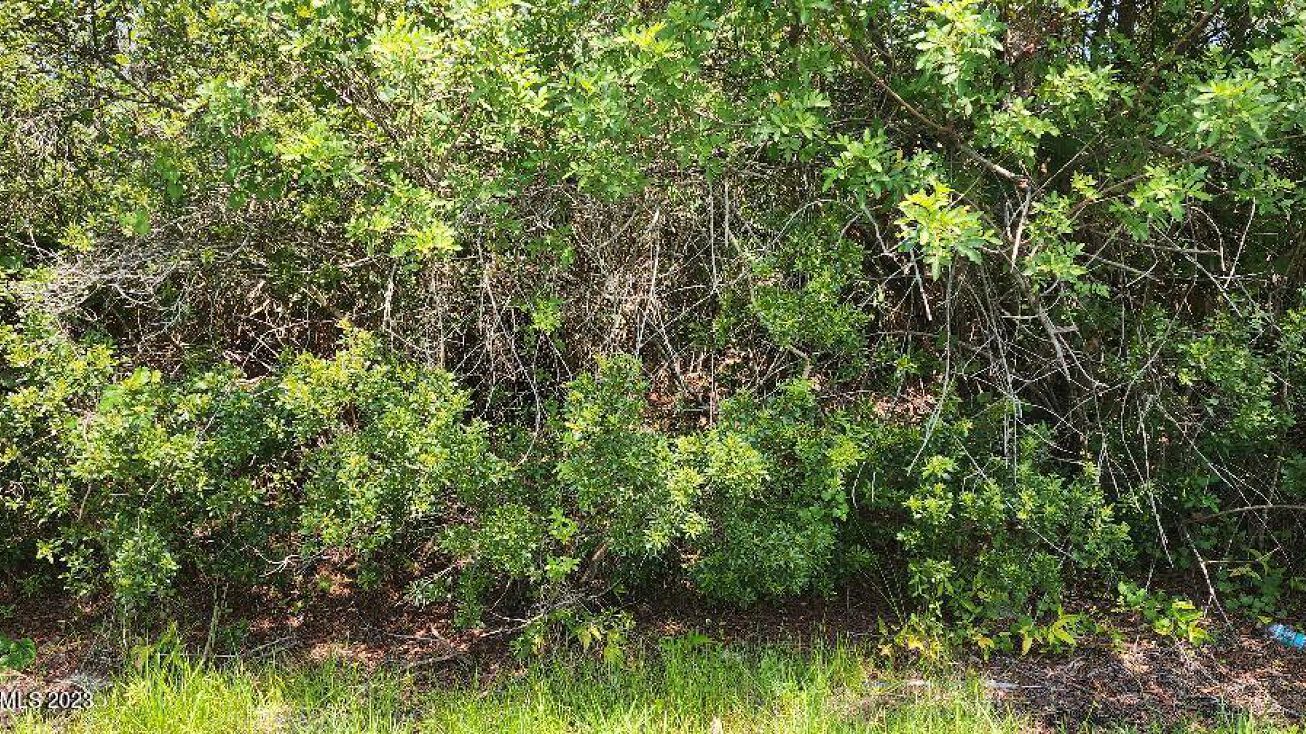 1185 Yakutat Avenue SE, Palm Bay, FL 32909