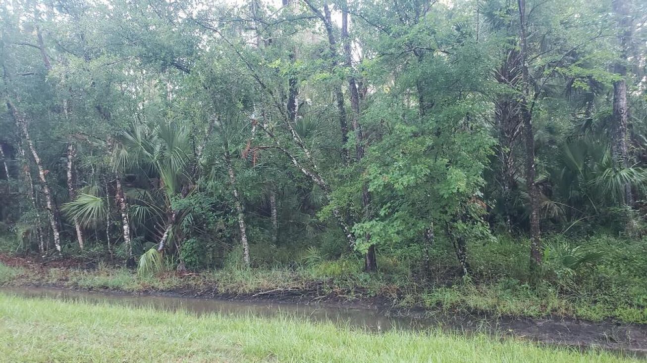 6326 Alder Avenue, Bunnell, FL 32110