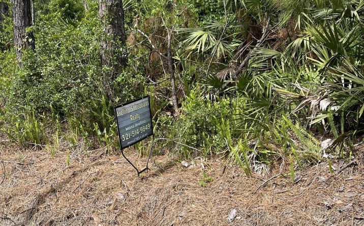 Pictures of Land property located at 000000 11th Avenue, DeLand, FL 32724 for sales - image #1
