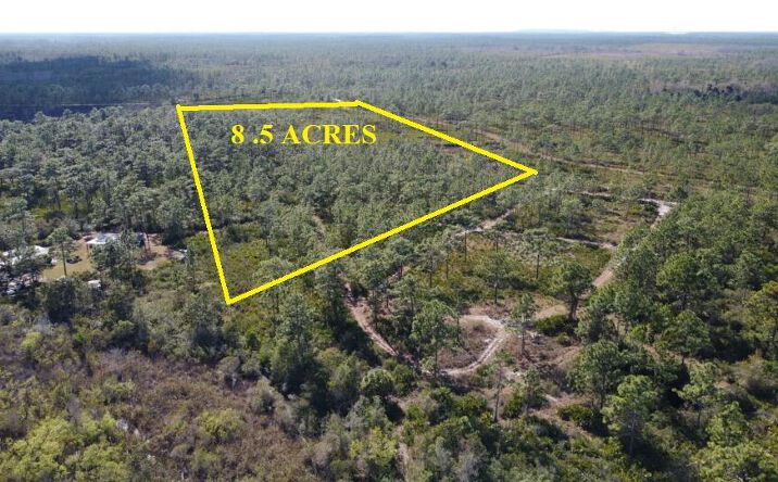 Pictures of Land property located at 0 Palm Frond Road, St. Cloud, FL 34773 for sales - image #1