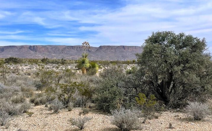 14760 Rogers pid, Terlingua, TX 79852 | Crexi.com