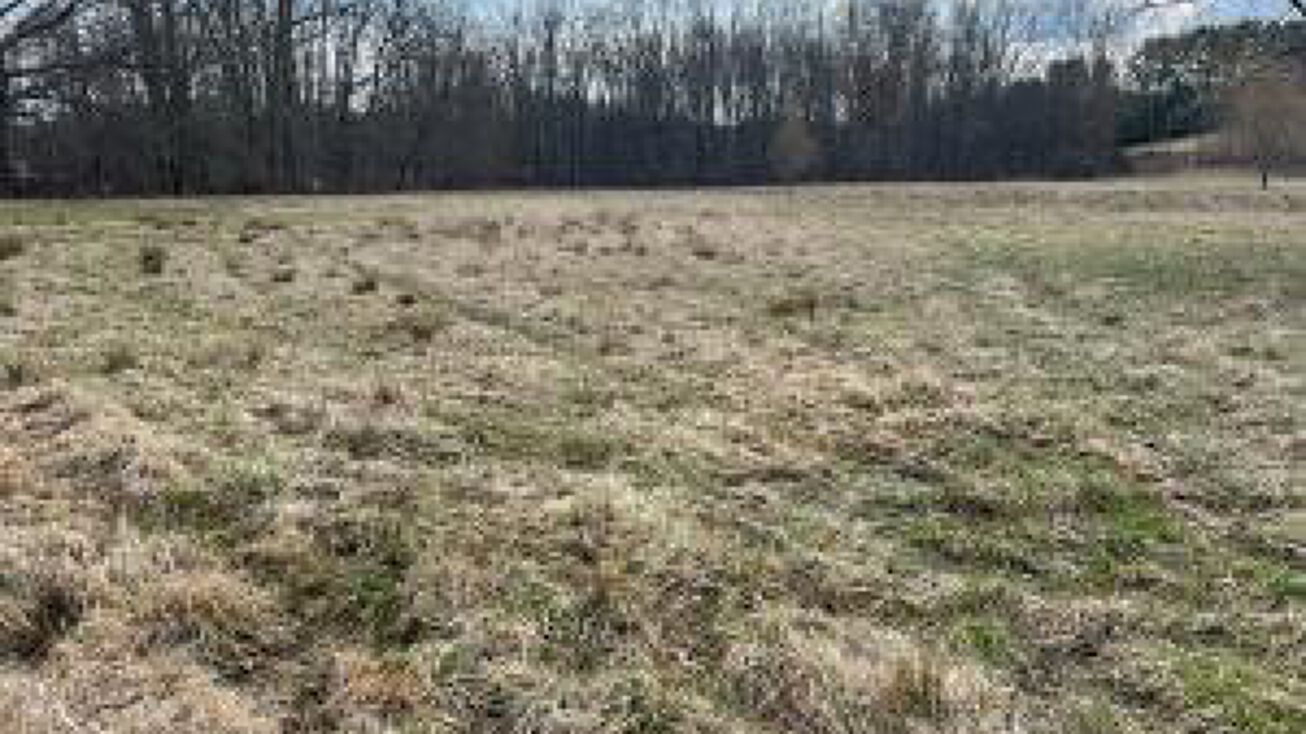 Country Wood Ln, Crawley, WV 24931