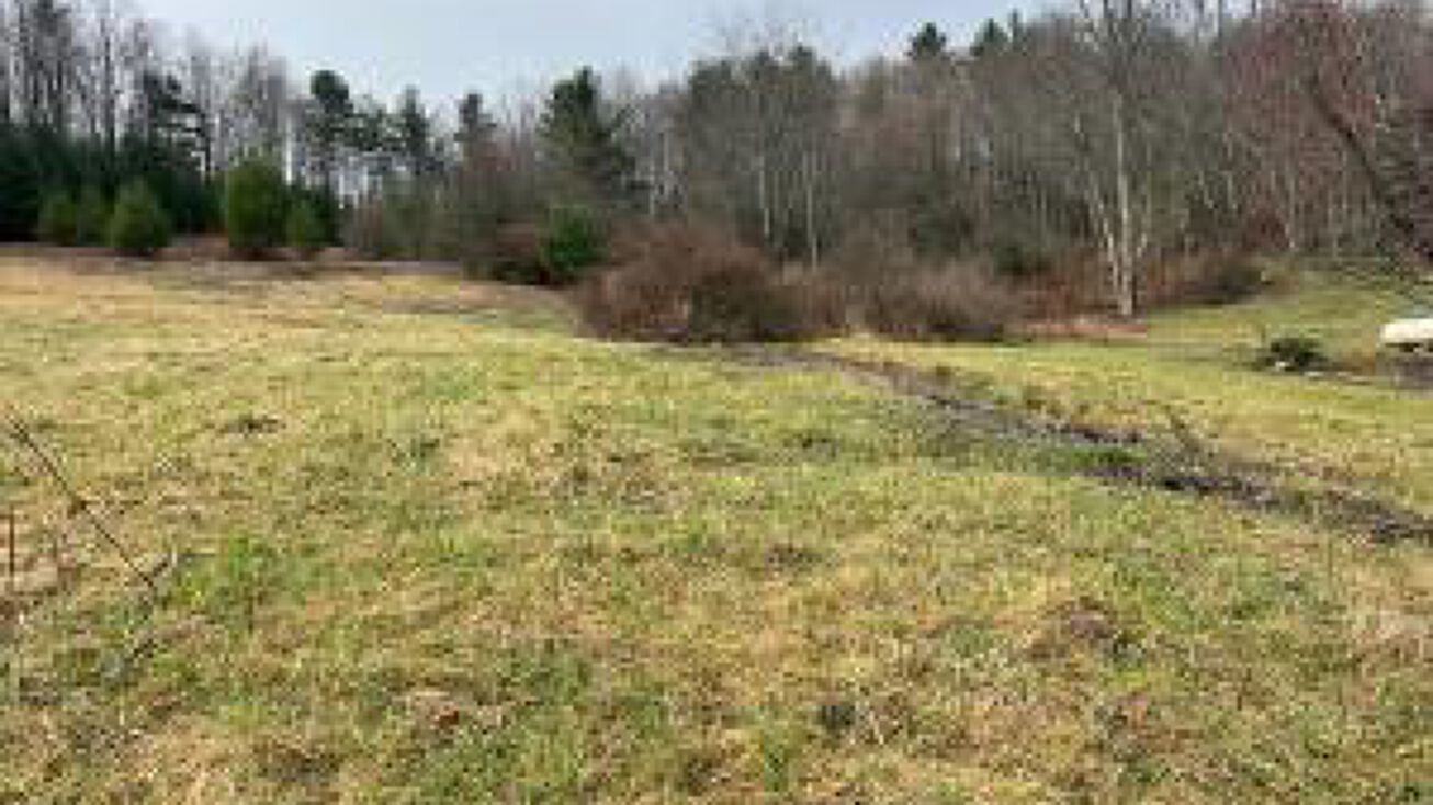 Meadow Bridge Rd, Meadow Bridge, WV 25976