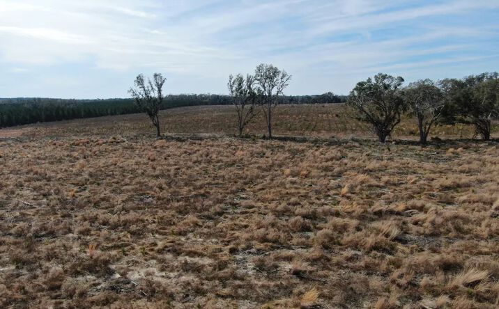 Pictures of Land property located at Vacant NE Duval Pond Rd, Madison, FL 32340 for sales - image #1