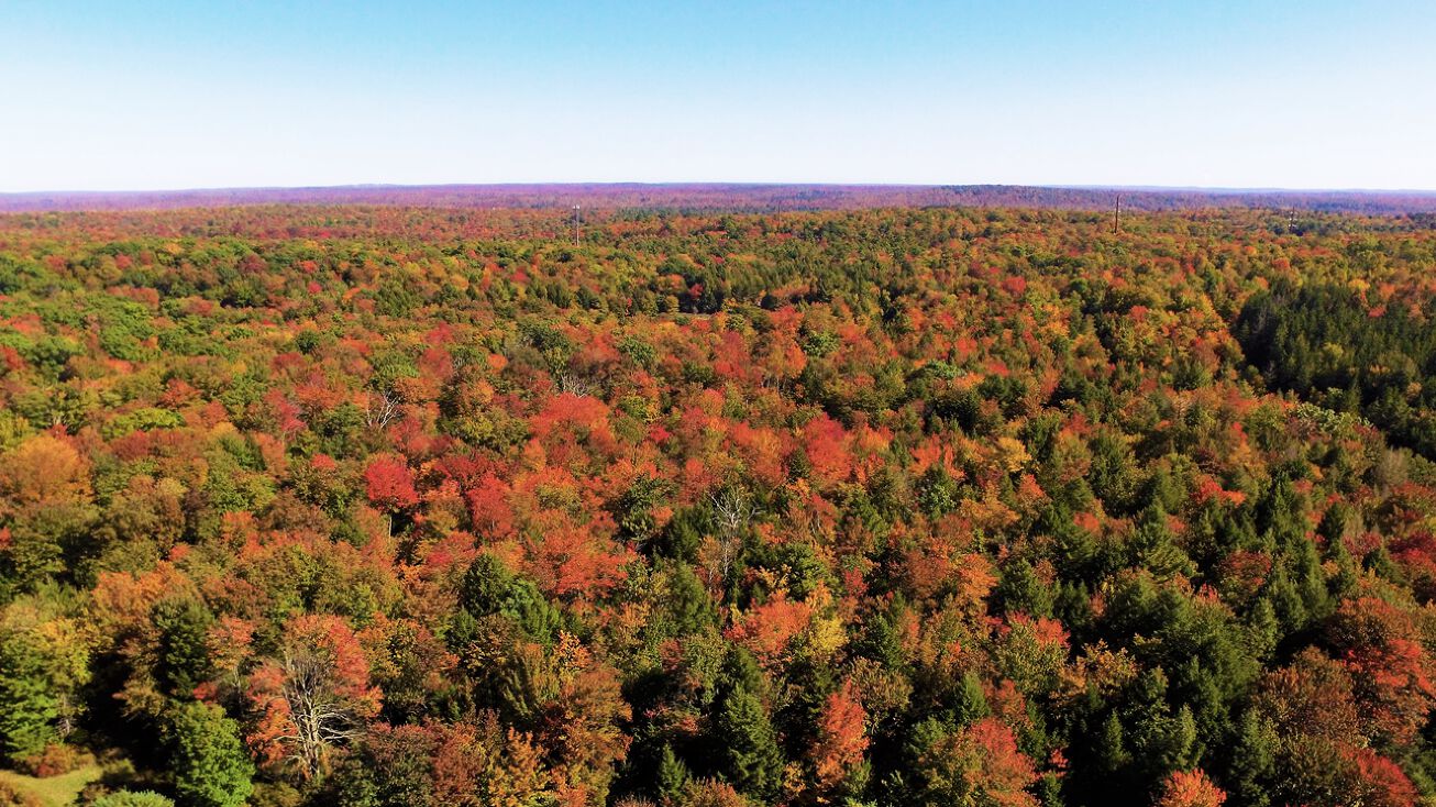 62RC+67W Conashaugh Lakes, Pennsylvania, USA, Conashaugh Lakes, PA