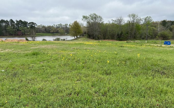 Pictures of Land property located at 1690 S Main St, Lindale, TX 75771 for sales - image #1