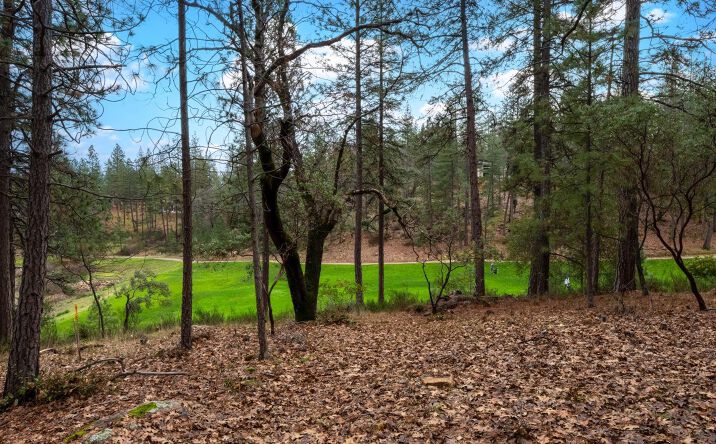 Pictures of Land property located at 1642 The Point Road Lot 297, Meadow Vista, CA 95722 for sales - image #1
