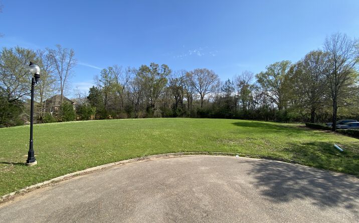 Pictures of Land property located at Homestead Dr, Madison, MS 39110 for sales - image #1