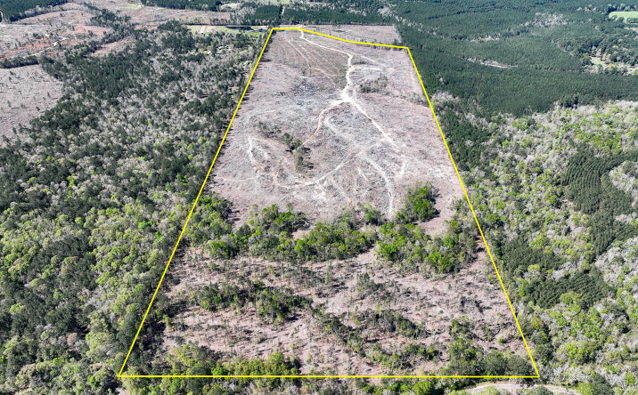 Pictures of Land property located at 1 County Road 443, Kirbyville, TX 75956 for sales - image #1
