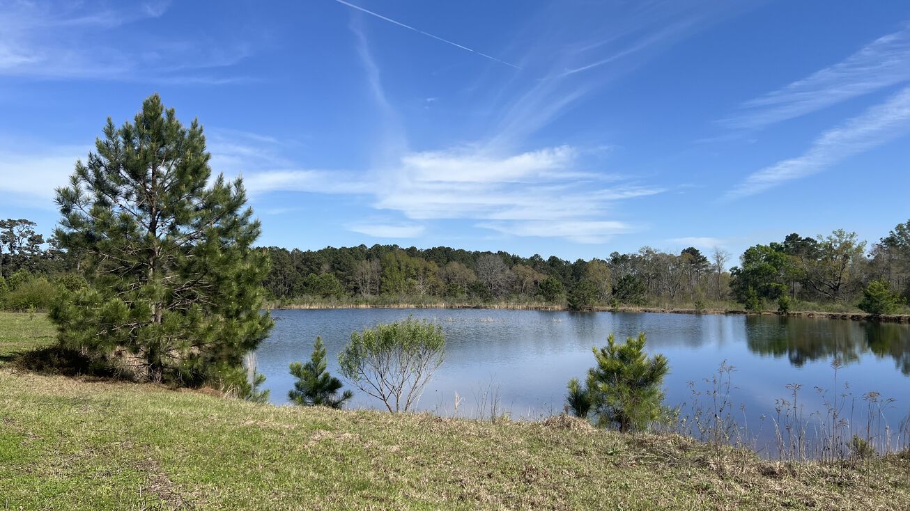 Patterson Rd, Dothan, AL 36301 | Crexi.com