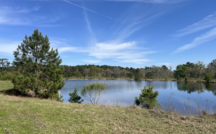 Pictures of Land property located at Patterson Rd, Dothan, AL 36301 for sales - image #1