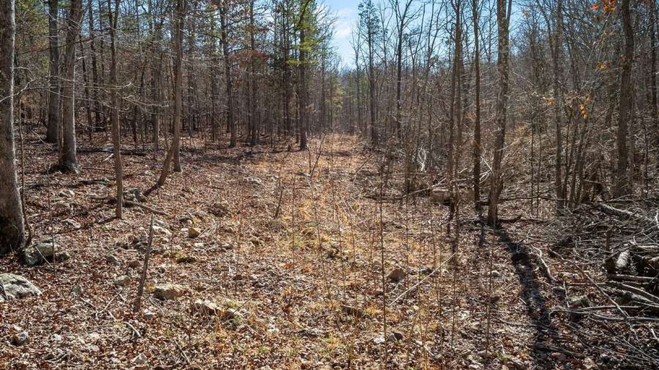 0 Hwy F, Fredericktown, MO 63645