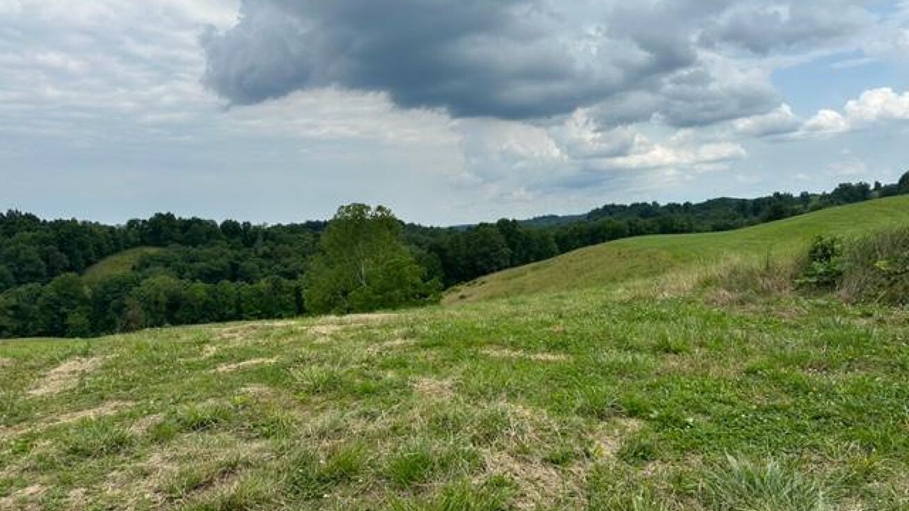 1000 J. Cox Road, Olive Hill, KY 41164