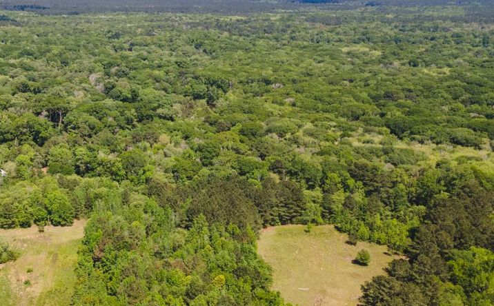Pictures of Land property located at 56 Acres Southeast Bulloch, Brooklet, GA 30415 for sales - image #1