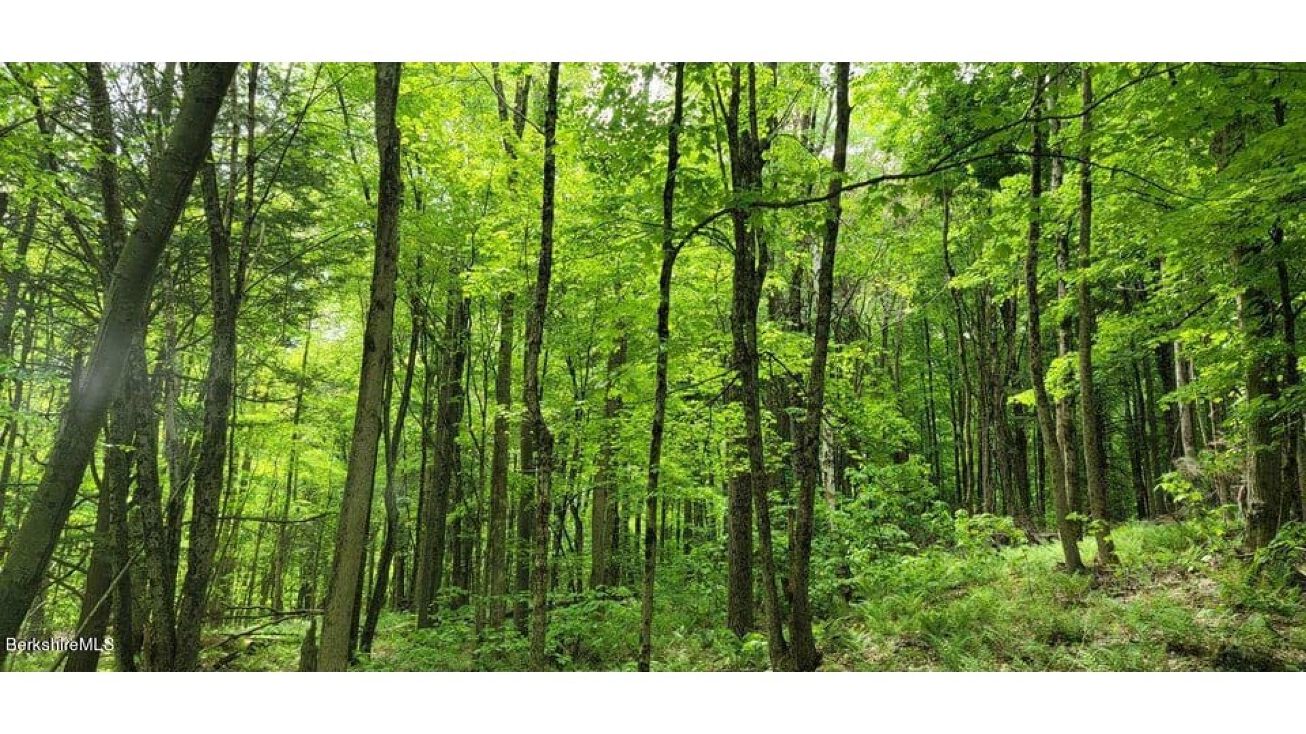 Mohawk Lake Rd, Stockbridge, MA 01262