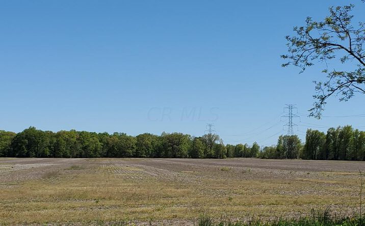 Pictures of Land property located at 0 Woodtown Road, Galena, OH 43021 for sales - image #1