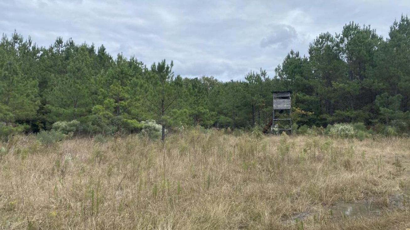 0 Nova Jean Road, Fordyce, AR 71742