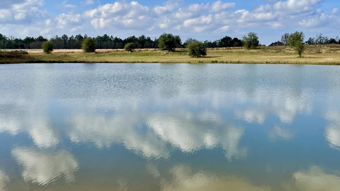 Pictures of Land property located at 0 CR 64, Daphne, AL 36551 for sales - image #1