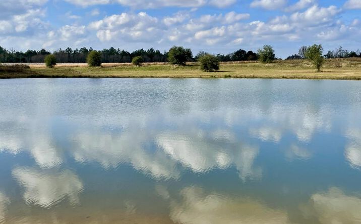 Pictures of Land property located at 0 CR 64, Daphne, AL 36551 for sales - image #1