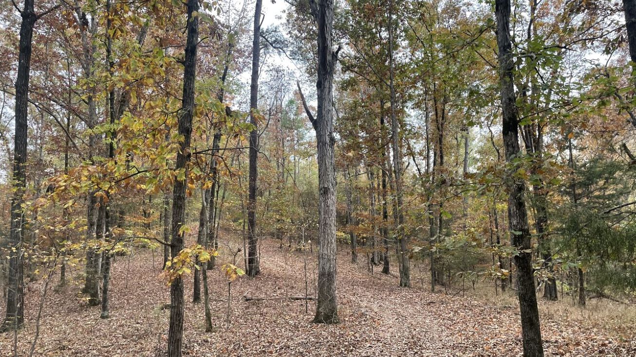 0 South of North Rosser Road, Tuscaloosa, AL 35405