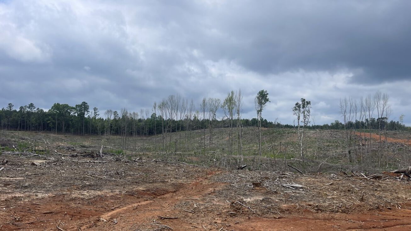 0 Shockley Road, Millport, AL 35576