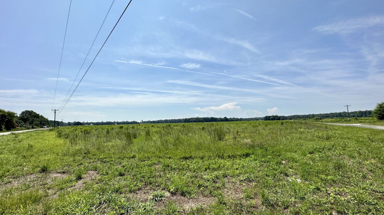 0 Pecan Rd, Dudley, NC 28333