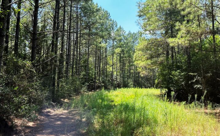 Pictures of Land property located at 00 Benndale Road, Wiggins, MS 39577 for sales - image #1