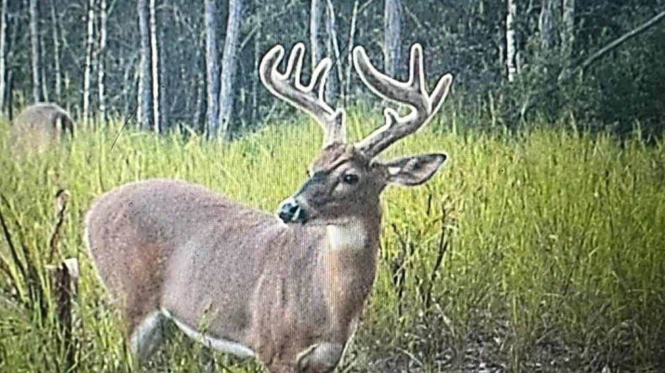 000 Deer Run Road, Leakesville, MS 39451