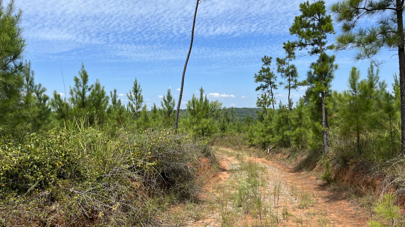 0 Highway 183, Sprott, AL 36756