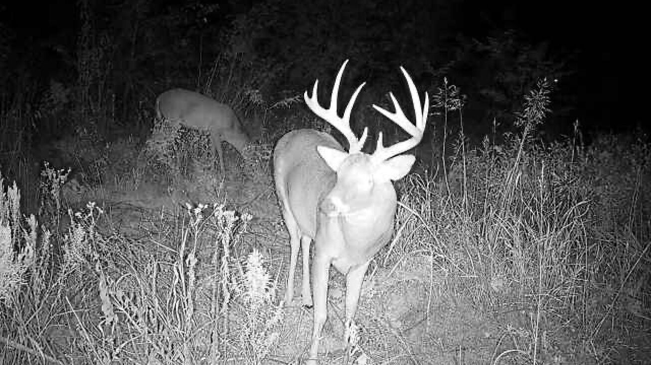 0000 SE 60th St, Murdock, KS 67111