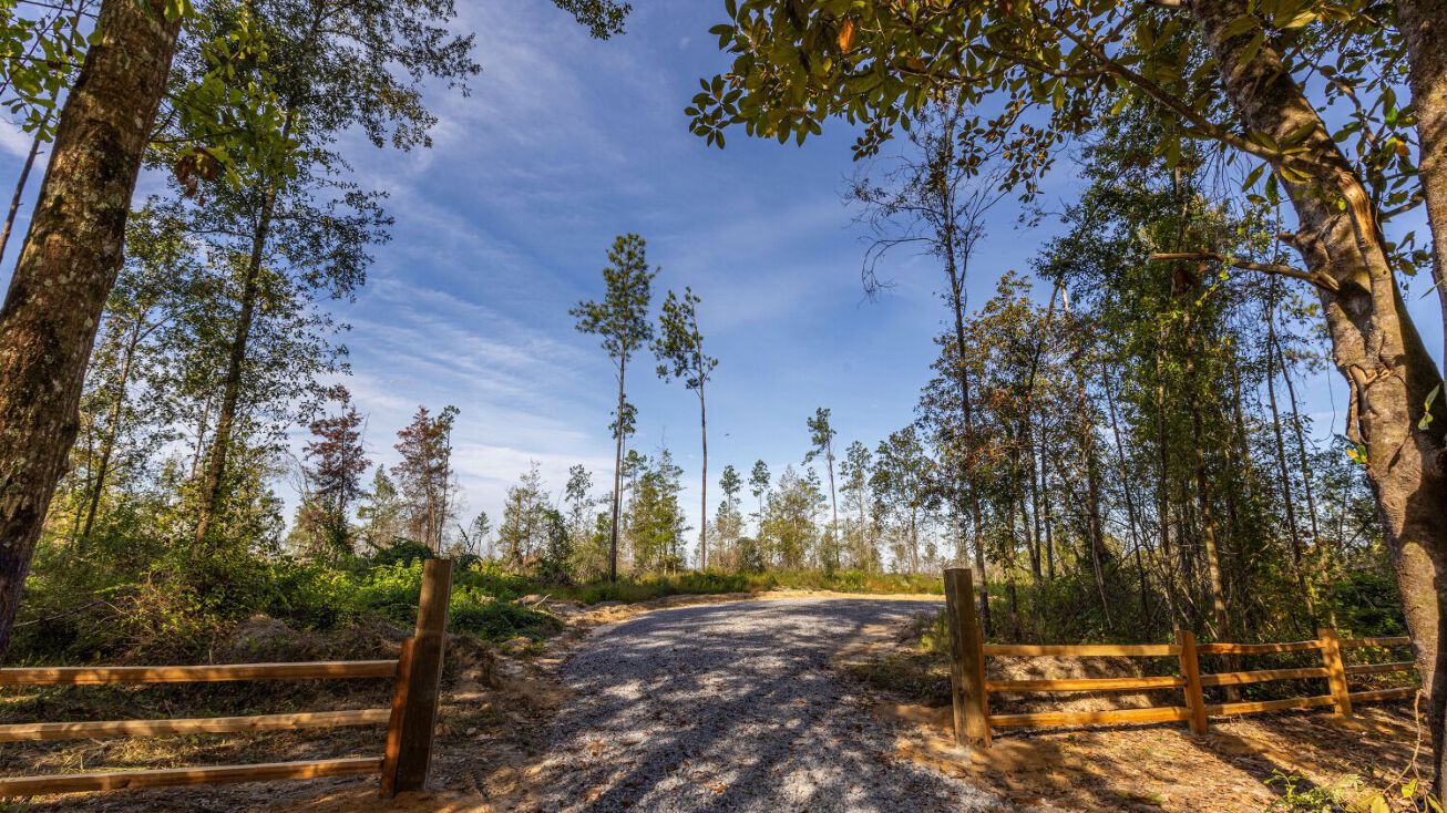 0 Whitehouse Fork Road, Bay AL 36507