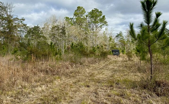 0 Texas Flat Road, Kiln, MS 39556 | Crexi.com