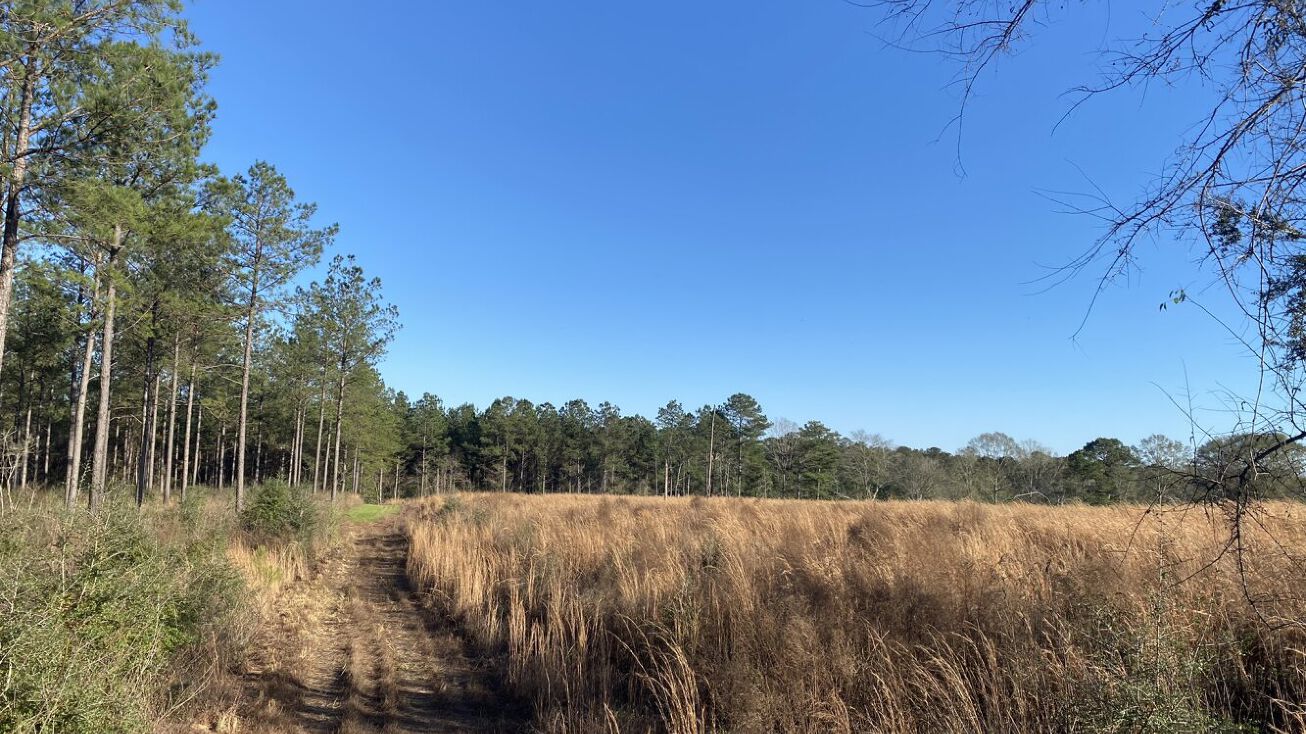 217 N Slade Road, Sumrall, MS 39482