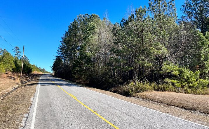 Highway 45 & Clay Road, Lauderdale, MS 39335 | Crexi.com