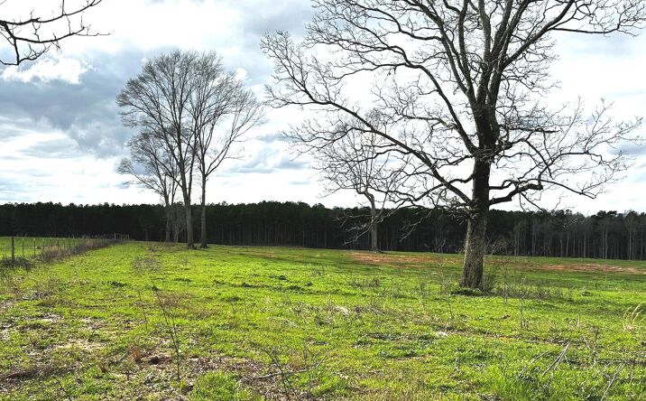 Pictures of Land property located at 275 Sam Graham Road, Prentiss, MS 39474 for sales - image #1