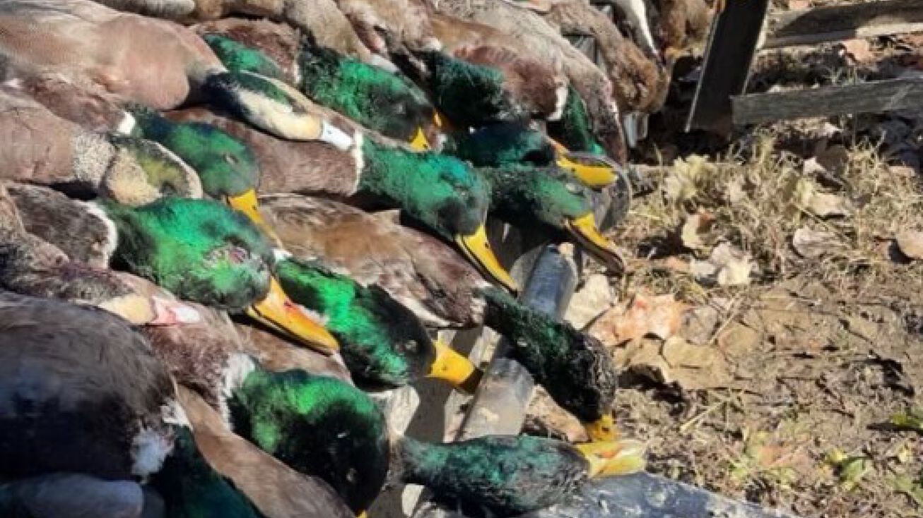 0 Rodney Rd, Rodney, MS 39096