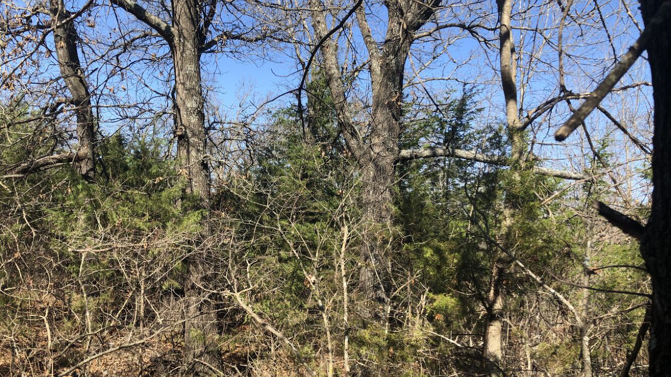 0000 E993 Rd, Wellston, OK 74881