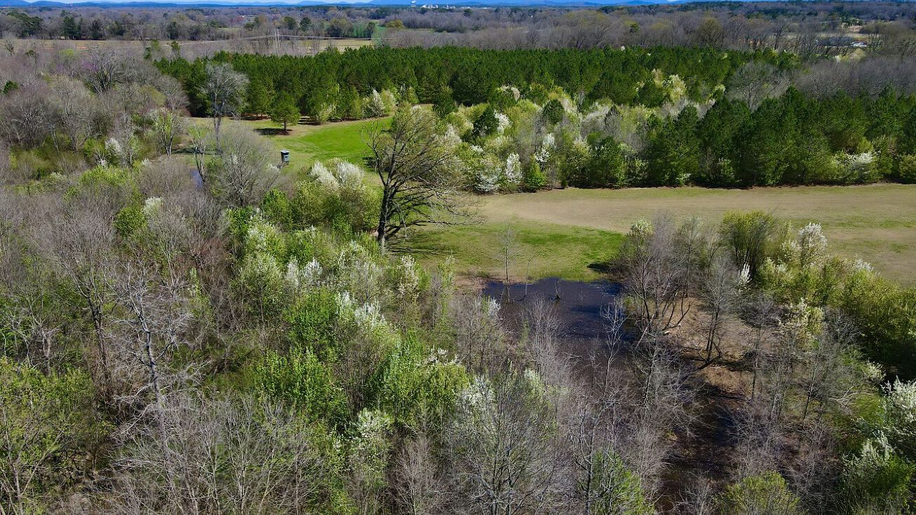 001 Larkin Lane, Harpersville, AL 35078