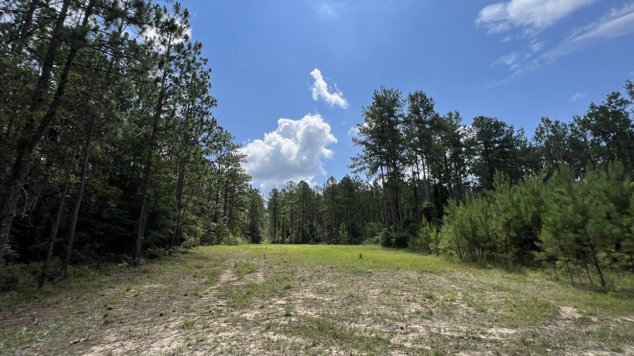 0 Rabun Road, Bay AL 36507