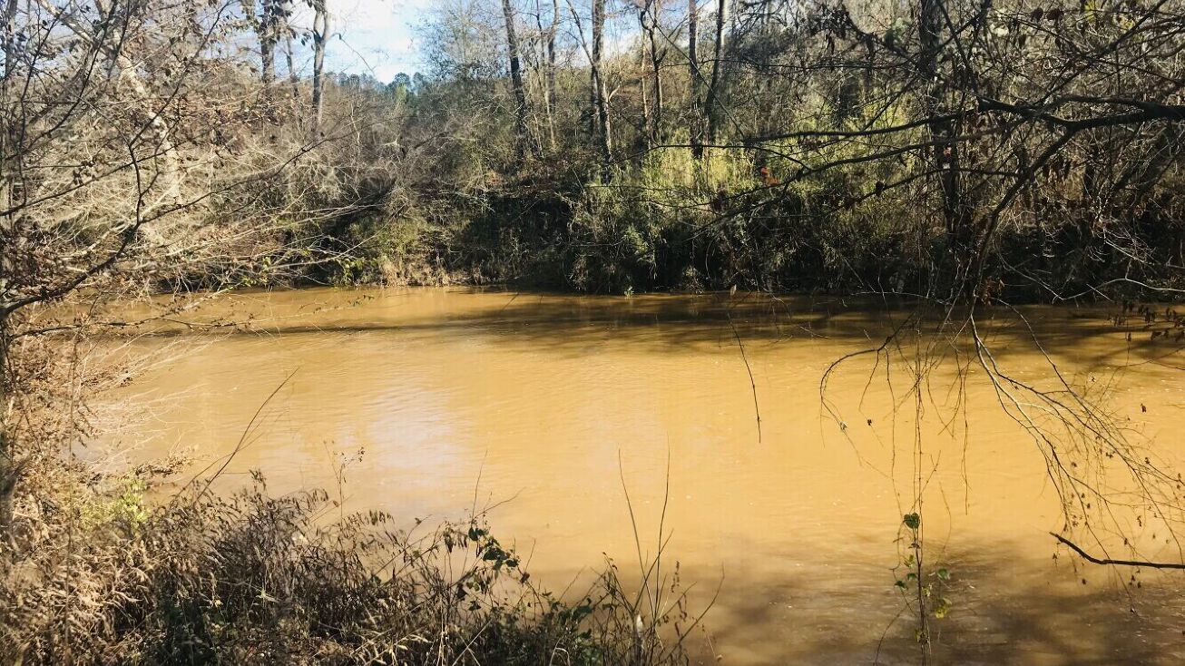 0 Steadman Road Tract 64, Tallapoosa, GA 30176