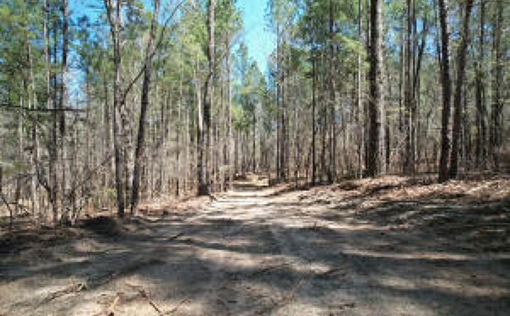 Pictures of Mixed Use property located at Tract A Andrews Circle, Aiken, SC 29803 for sales - image #1