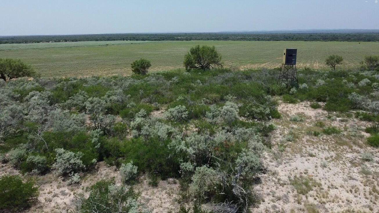 1555 Co Rd 400, Uvalde, TX 78801