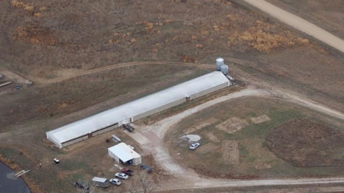 84185 536 Ave, Tilden, NE 68781