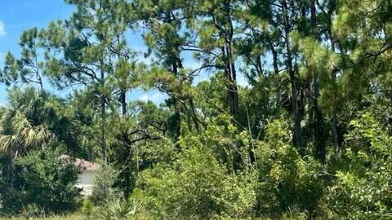 177 Shalimar Avenue NW, Palm Bay, FL 32907