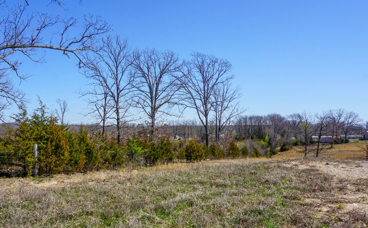 Pictures of Land property located at Co Rd 8170, Newburg, MO 65560 for sales - image #1