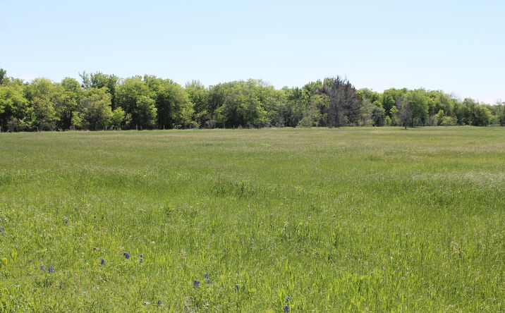 Pictures of Land property located at Steinbeck Bend Dr, Waco, TX 76708 for sales - image #1