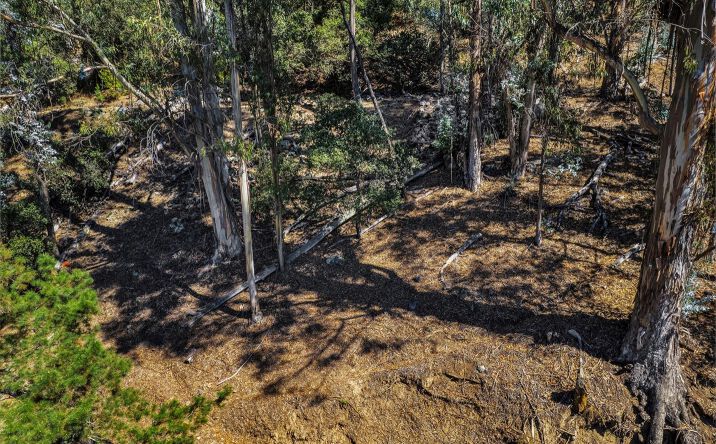 Pictures of Land property located at Ascot Dr, Oakland, CA 94611 for sales - image #1